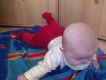 dsc00012.jpg