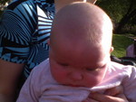dsc00003.jpg