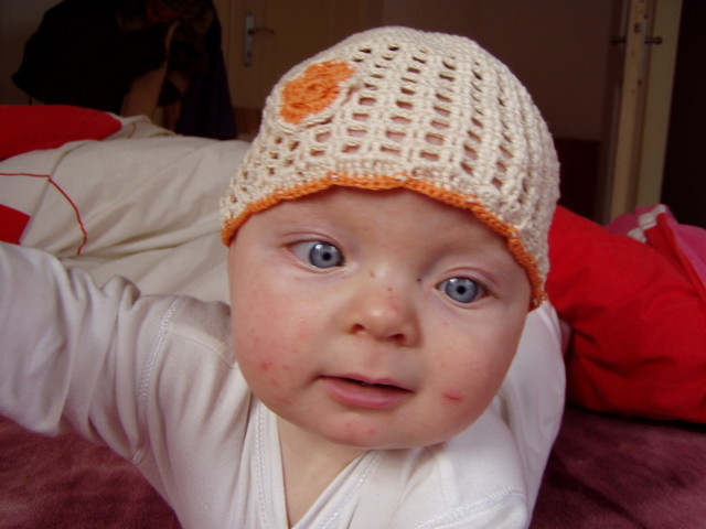 pb050015.jpg