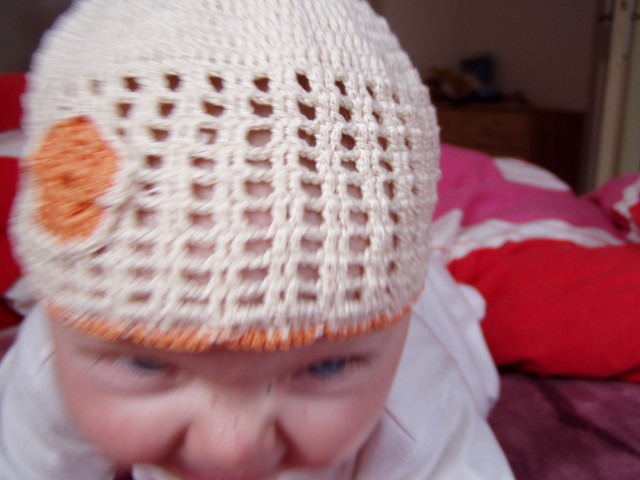 pb050016.jpg