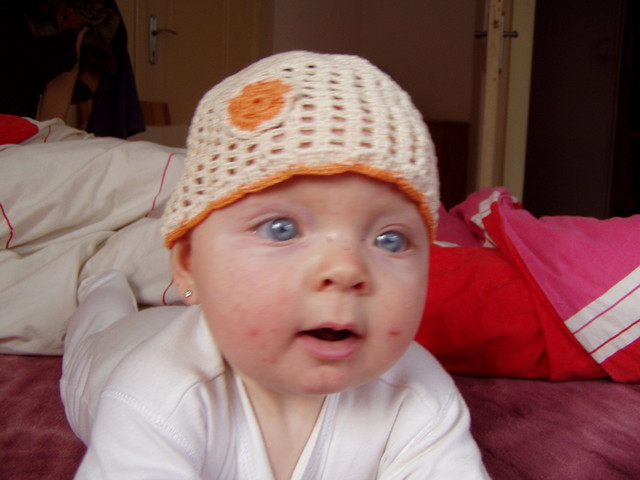 pb050017.jpg