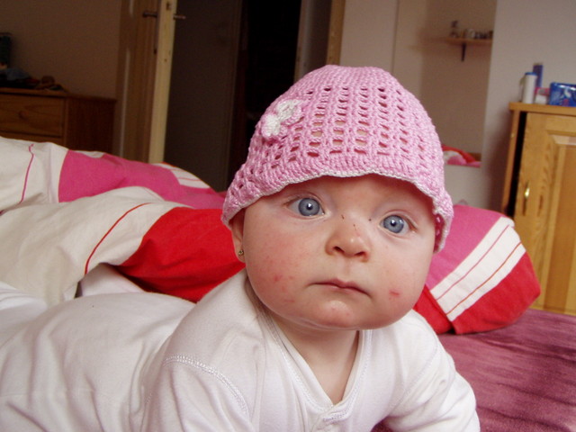 pb050019.jpg