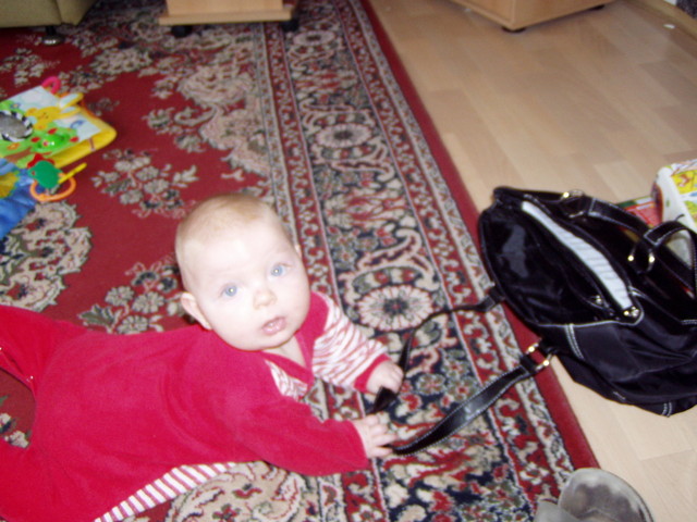 pb140052.jpg