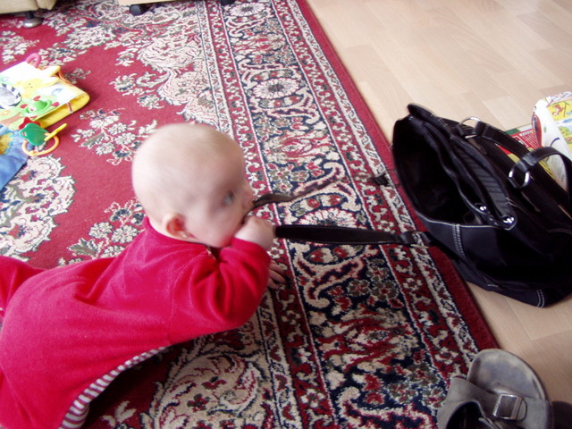 pb140053.jpg