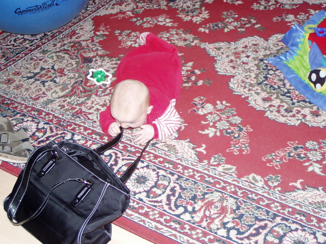 pb140061.jpg