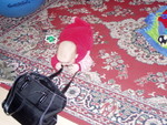 pb140061.jpg