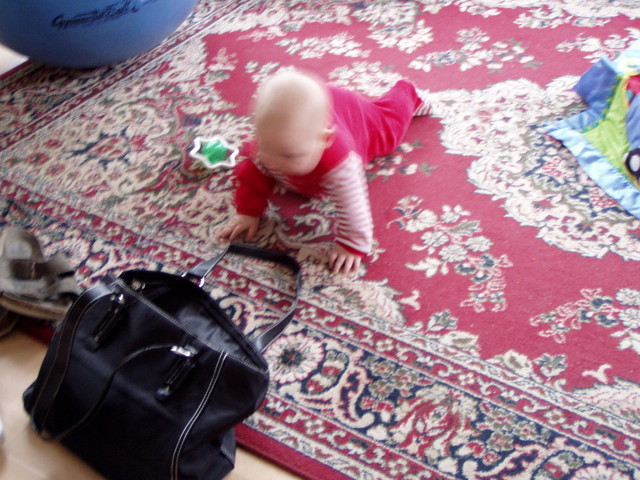 pb140062.jpg