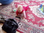 pb140062.jpg