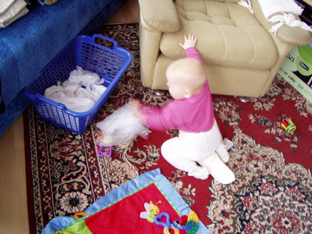 pc190042.jpg