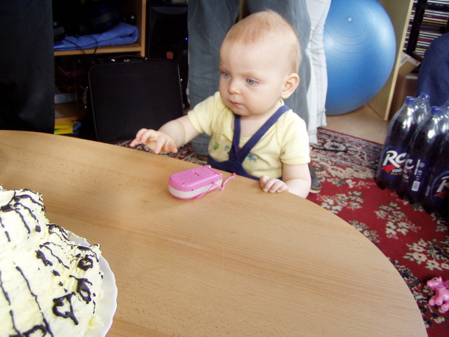 p4130586.jpg