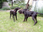 p9030041