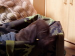 pc280474.jpg