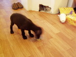 pc280477.jpg