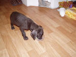 pc280478.jpg