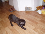 pc280479.jpg