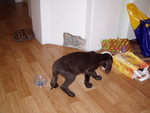 pc280480.jpg