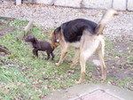 pc280485.jpg