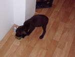 pc280488.jpg