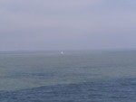 p7090013.jpg