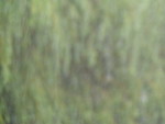 p8010164