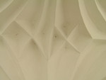 DSCF1055