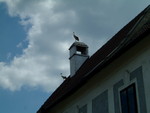 DSCF1058